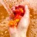 LUSH �u���C�g�T�C�h �o�u���o�[ �A���C ������   �v�`�M�t�g �V�g���X �t���[�e�B  ���킢�� ���R�h  �v���[���g ���b�V�� ���� �֘A�摜4