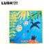  День отца подарок LUSH сад Mu laruno ловушка Knot wrap furoshiki 50cm упаковка gif мусор официальный 