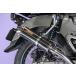 ϥ󥿡 CT125 Хޥե顼 8BJ-JA65 2BJ-JA55 2020ǯ ֥쥤 ƥ쥹 ֥å顼 󥿥 ޥե顼 Realspeed ꥢ륹ԡ ۥ