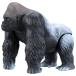 aniaAS-09 Gorilla 