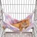 PAWZ Road �L �n�����b�N �ӂ�ӂ� �P�[�W�p �~ �g���� �˂� ���킢�� �x�b�h �y�b�g�x�b�h �}�b�g ���t���ȒP ���ʎg�p �l���R
