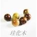 1粒売り 天然石ビーズ 珪化木（ペトリファイドウッド）10.0mm玉 丸玉 パワーストーン
