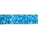 ŷ���Хӡ��� �ͥ���֥롼���ѥ����� 6.0mm �ʼ����-AA 1γ��� �ݶ� �Х���� �ꤢ�� ���������꡼�ѡ���