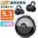  беспроводной слуховай аппарат ... слуховай аппарат Bluetooth 5.3 уголок зажим type уголок ... нет слуховай аппарат одна сторона уголок обе уголок Bluetooth автоматика парные IPX7 водонепроницаемый iPhone/Android соответствует 