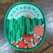 [pa-73]patagonia Patagonia стикер sticker HONOLULU Гаваи ограничение 