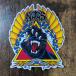 [ST-1035]Santa Cruz Skateboards sticker солнечный ta круиз скейтборд стикер SCREAMING PANTHER