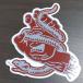 [ST-723]Santa Cruz Skateboard sticker солнечный ta круиз скейтборд стикер Snake Bite