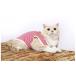 �L�� �^���N�g�b�v �X�g���C�v �V���v�� �{�[�_�[ T�V���c ���킢�� �����ё΍� �E�F�A �t�� ���� �֘A�摜2