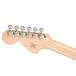 Squier by Fender�@Paranormal Esquire Deluxe Metallic Black �֘A�摜5