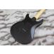 PRS (Paul Reed Smith)�@SE Swamp Ash CE 24 
