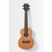 KALA James Hill Signature Solid Top Mahogany Concert Ukulele KA-JH-MHG-C