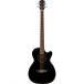 Fender CB-60SCE Bass Black