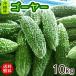  Okinawa production bitter gourd - approximately 10kg(30~40ps.@) refrigeration shipping ( free shipping )