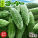  Okinawa production bitter gourd - approximately 5kg(15~20ps.@) refrigeration shipping ( free shipping )