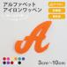 アイロンワッペン文字(10cmサイズアルファベット)