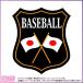 エンブレムワッペン 野球日本国旗