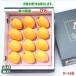  free shipping Kagawa prefecture production loquat vanity case 8~16 sphere loquat fruit free shipping Nagasaki . earth production .. gift .. present inside festival .