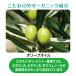 �I�[�K�j�b�N�}�h���i �G�L�X�g���o�[�W���I���[�u�I�C�� 20ml�@����e�I�C���� �֘A�摜2