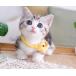 �p���R�[�h 2mm 15m �J���t�� �Ђ� �e���g ���[�v �ω׏d 90kg �L�����v �A�E�g�h�A �T�o�C�o�� �L�[�z���_�[ �u���X���b�g ��� �Ȃǂ� �֘A�摜5