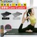  йога коврик 10mm высокая плотность Core Cushion звукоизоляция *.. защита подушка легкий антибактериальный изоляция материалы [1 год гарантия ] STEADY ( стерео ti) ST135
