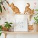 �E�H�[���X�e�b�J�[ ���� ������ �y���g���L�z �͂����� �� �V�[�� �X�e�b�J�[ �ǎ� ����� �L �˂� �l�R �v�`�v�� �����R�C�� �~�j�T�C�Y �󒍈��
