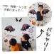 �E�H�[���X�e�b�J�[ �͂����� �n���E�B�� ���� �y�Ȃ肫��f�r�������z  ���� ���� �J�{�`�� �[�� �R�E���� ���� �H�� �f�r�� ������ �R�X�`���[�� �󒍈�� �֘A�摜4