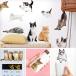 �E�H�[���X�e�b�J�[ ���� ���� �L �˂� �y�ɂ�񂱃��C�t�z �͂����� �� �V�[�� ������� �A�� �k�� �ϗt�A�� �� ���� �C���e���A �󒍈��