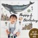 �E�H�[���X�e�b�J�[ �o�[�X�f�[ �a���� �y������o�[�X�f�[�z �͂����� �� �V�[�� ������ �C �� �ǎ� ���� ����� �n�[�t�o�[�X�f�[ 1�� �󒍈��