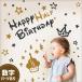 �V�[���� �N����I�[�_�[�ł��� �E�H�[���X�e�b�J�[ �ycup cake�z �n�[�t�o�[�X�f�[ �n�[�t 6���� �o�[�X�f�[ �a���� �x�r�[ �Ԃ���� �J�b�v�P�[�L �󒍈��