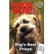 Dog's Best Friend