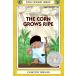 The Corn Grows Ripe (Paperback)