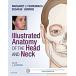 Illustrated Anatomy of the Head and Neck (Paperback 5 Revised)