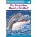 Level 3. Do dolphins smile?
