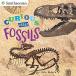 Curious About Fossils (Paperback)