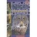 Night Creatures (Hardcover)