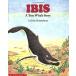 Ibis (Paperback)