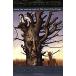 The Two Towers Volume 2: Being the Second Part of the Lord of the Rings (Paperback)