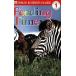 Feeding Time (Paperback)