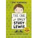 The One and Only Stuey Lewis: Stories from the Second Grade (Paperback)
