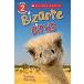 Bizarre Birds (Paperback)