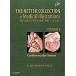The Netter Collection of Medical Illustrations: Cardiovascular System : Volume 8 (Hardcover 2 ed)