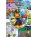 Nickelodeon Paw Patrol: Little Look and Find (Hardcover)