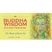 Buddha Wisdom Divine Feminine (Other)
