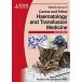 BSAVA Manual of Canine and Feline Haematology and Transfusion Medicine (Paperback 2 ed)