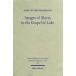 Images of Illness in the Gospel of Luke: Insights from Ancient Medical Texts (Paperback)