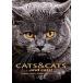 Cats Cats...and More Cats! (Hardcover)