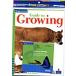 Four Corners Early 22Guide to GrowingBook + CD + Workbook