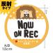 отражающий магнит стикер еж NOW ON REC круглый 15cm машина магнит стикер .. пачка соответствует 210 иен ~