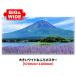  большой широкий ванна постер лето. гора Фудзи магнит сиденье производства экспресс доставка курьером бесплатный 