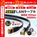 LANケーブル CAT7 1m 2本セット 10ギガビット 高速光通信 ツメ折れ防止 ランケーブル カテゴリー7